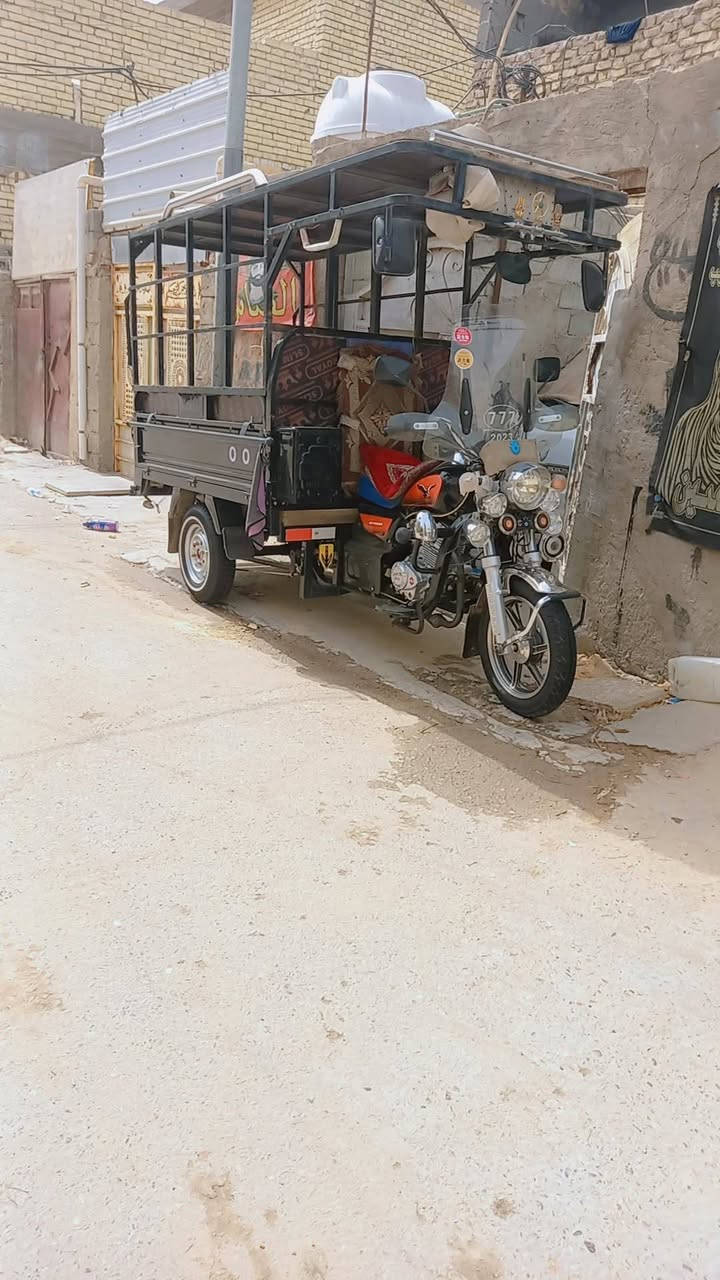 لبيع ستوته صقر اصولي 23 رقم ***********
