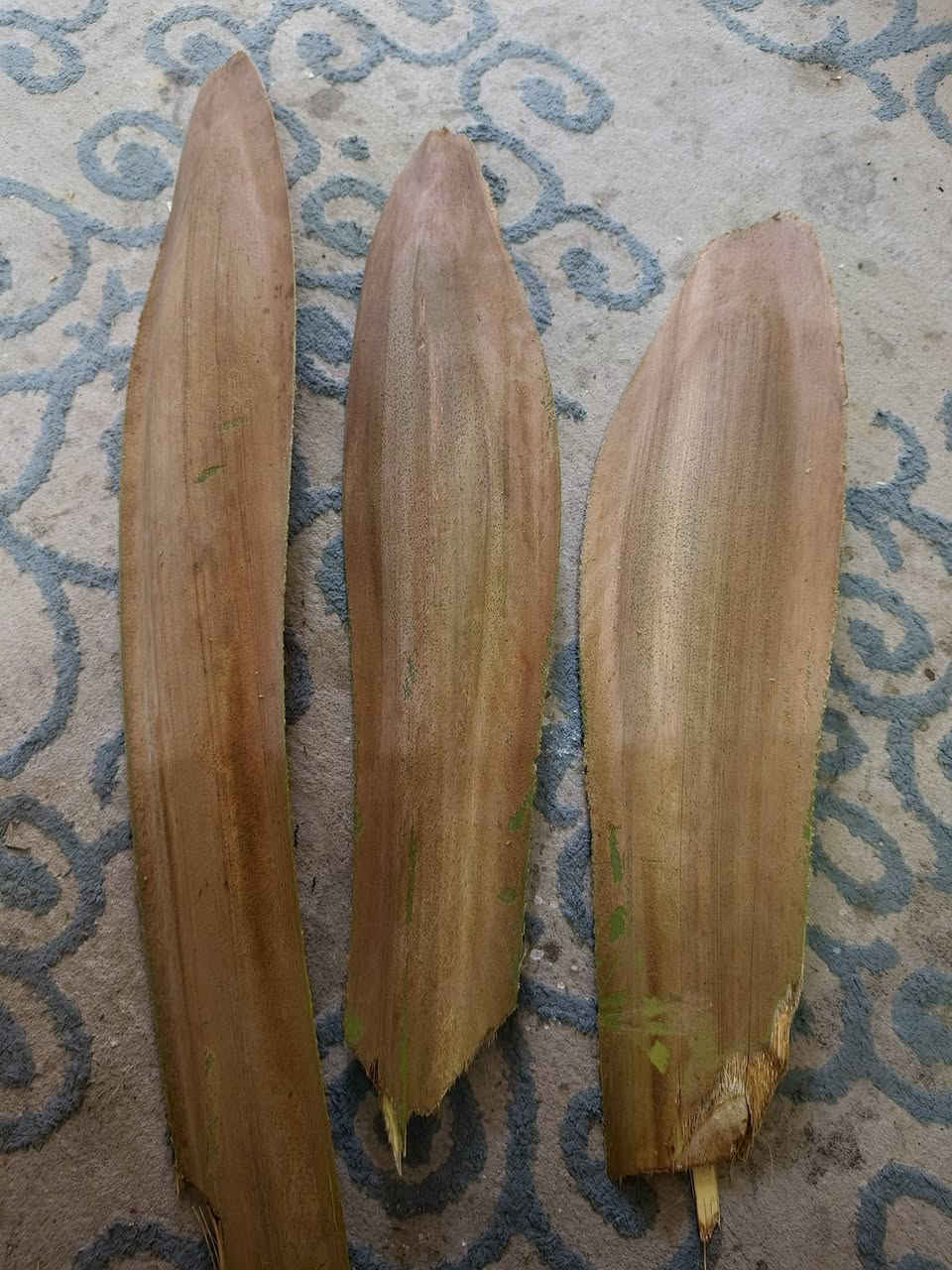 السلام عليكم متاح طلعات فحل نخل غنامي كبار وبالغات الوحدة 5 تالاف مكاني الهوير


**إذا كنت صاحب هذا الإعلان وتريد حذفه لأي سبب، رجاءا أرسل رسالة إلى الدعم الفني**