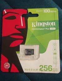 كينجستون • أصلي • ٢٥٦جيجا