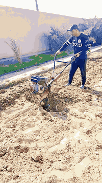 السلام عليكم اخوان حراثة حدائق وترتيب وزراعة الثيل ***********بي واتساب مكاني بني  منصور
