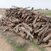 يوجد حطب يابس للبيع حمل كيه 07705015996 ادمن وافق
