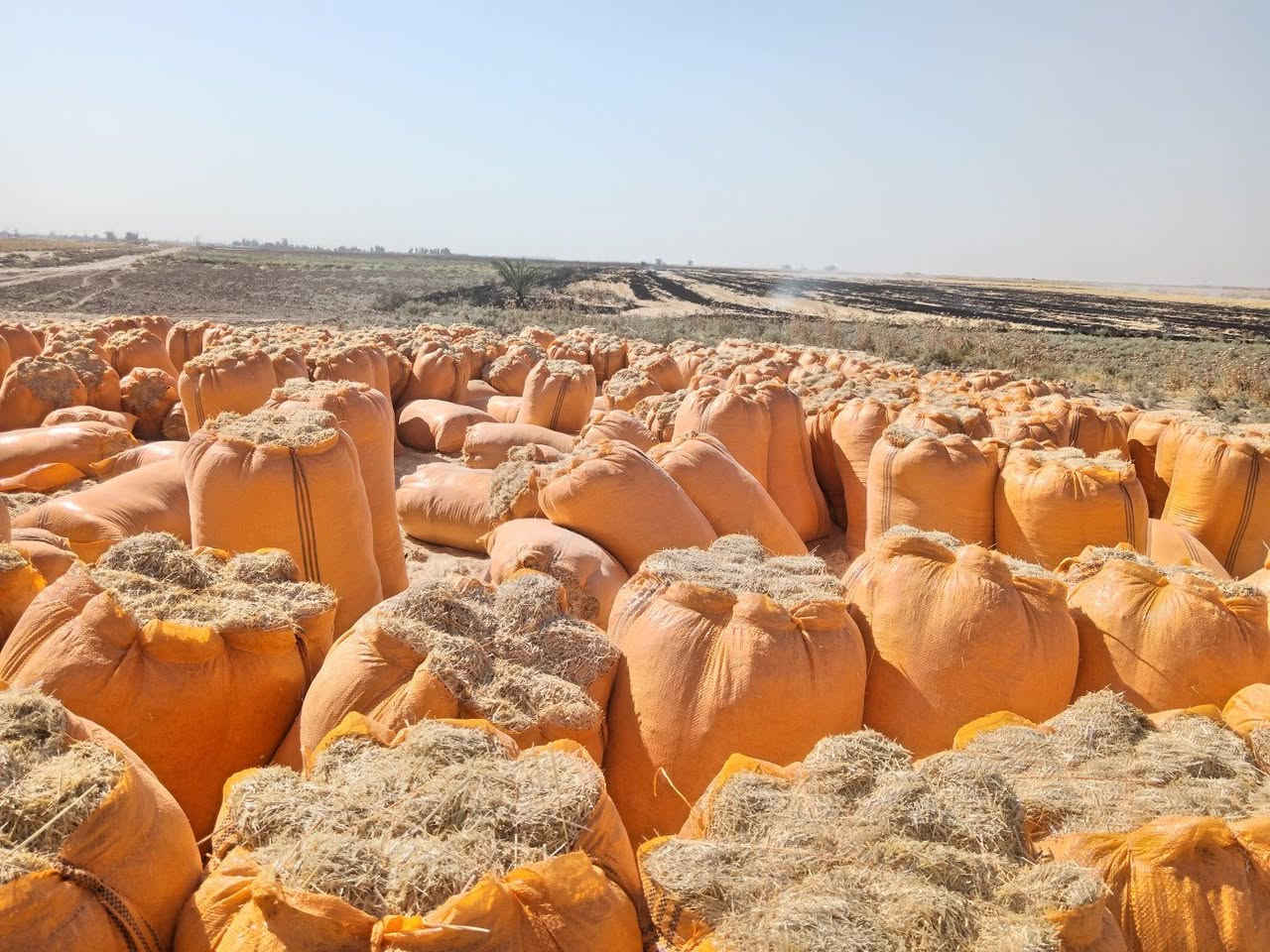 🌾 يوجد تبن للبيع 🌾

تبن الشمال (أربيل وكركوك)
✅ أبيض
✅ ناعم
✅ نظيف
✅ خالٍ من التراب

🚛 سعر الزوج إلى ديالى : ٧ونص 

📞 للاستفسار والطلب: ***********
