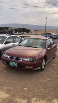 فاسولیا • ١٩٩٥ • رقم اربيل