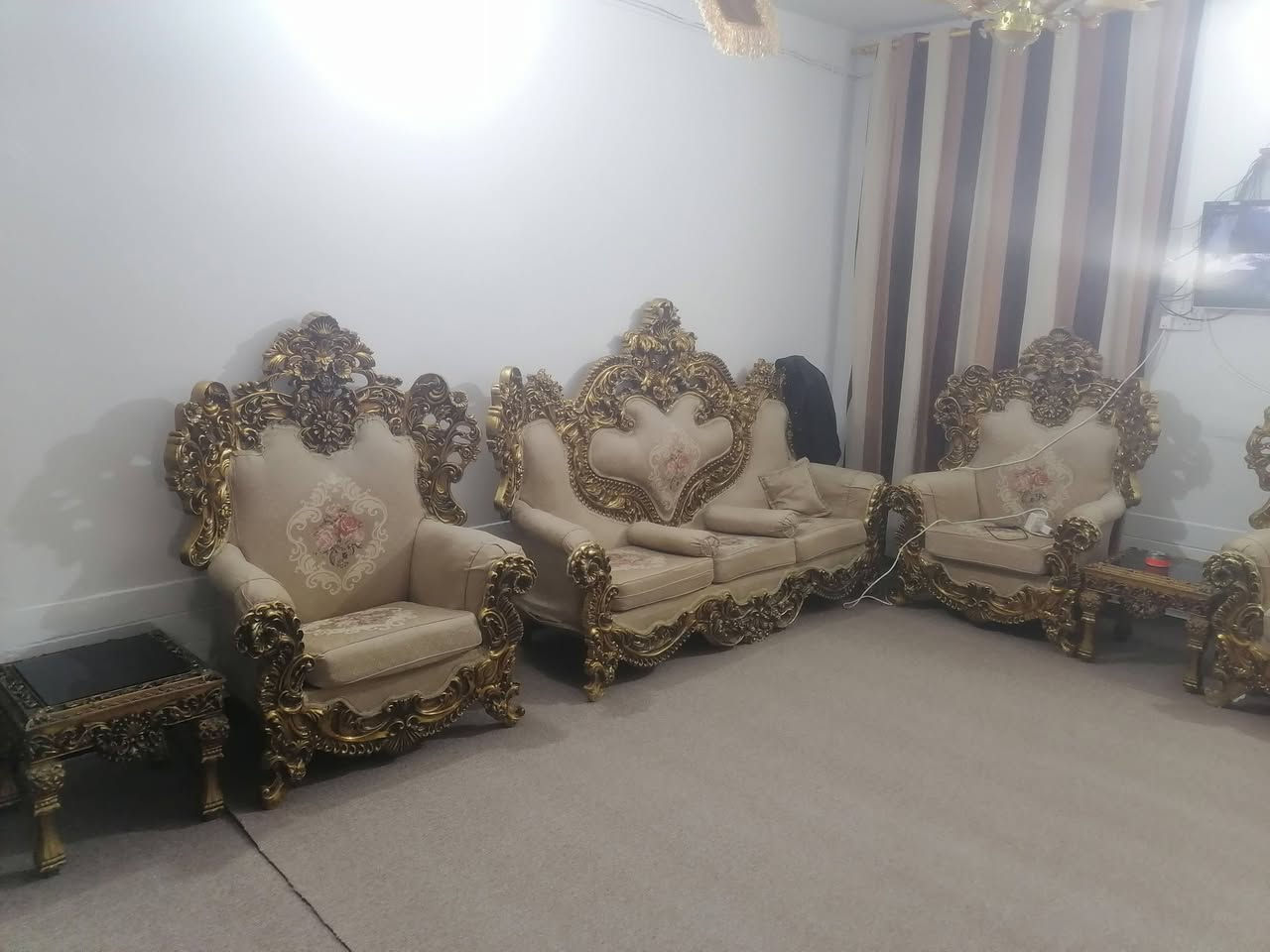 تخم ملكي خشب زان مصري تسكام ***********
