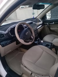 ٢٠١٤ • بدون صبغ • سونار