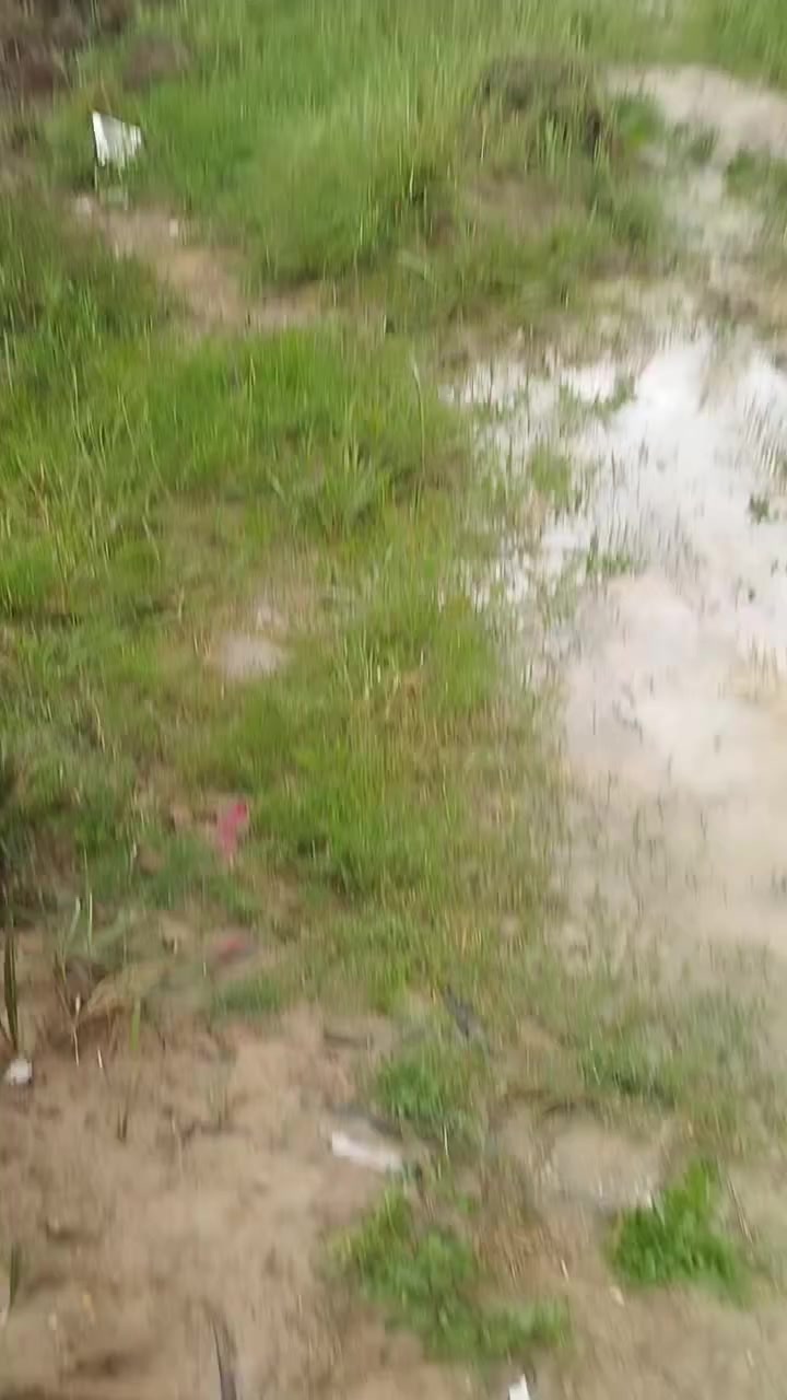 قطعه ارض زراعي للبيع  ***********
🛑متاح🟢 قطعة ارض زراعي (٤بيوت🏡🏡🏡🏡 بلوك) وبستان نخيل نوع جيد ومثمر  بحيره سمك ومحل شارع تبليط و(٦دوانم)  كهربا ماء اساله  الموقع صوب بني رجاب #مقابيل_المعش علا الشط  كافه الخدمات
