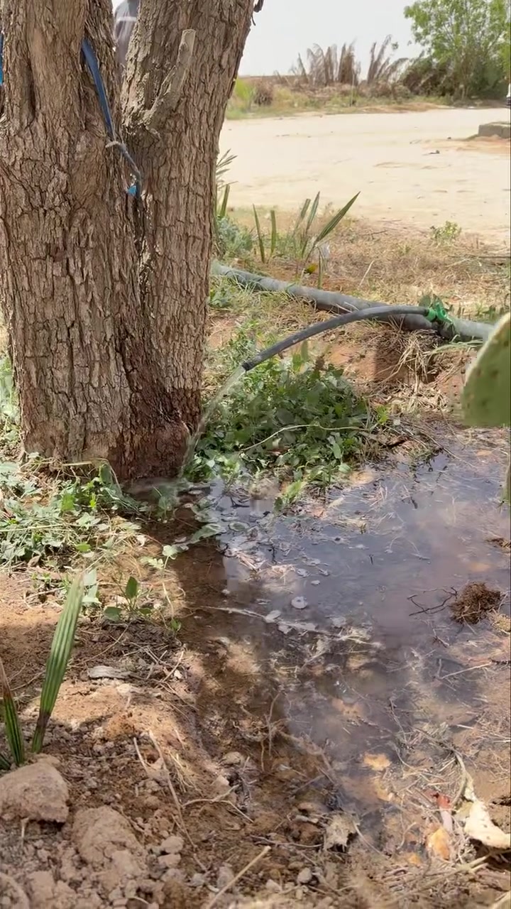 صلاحية مياه الري 

نصائح مهمة لزيادة انتاج محصول الحنطة 

📍 العنوان : [ بغداد / ناحية الرشيد / منطقةطط العدوانية 
على الطريق السريع الدولي ]
📞 للاستفسار : [009647822057411] 

#استشارات_زراعية #Agro #BusinessGrowth #الزراعة #potato #starwars #تسميد #صحة #تمر


**إذا كنت صاحب هذا الإعلان وتريد حذفه لأي سبب، رجاءا أرسل رسالة إلى الدعم الفني**