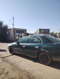 دكتوره • ١٩٩٥ • الانبار