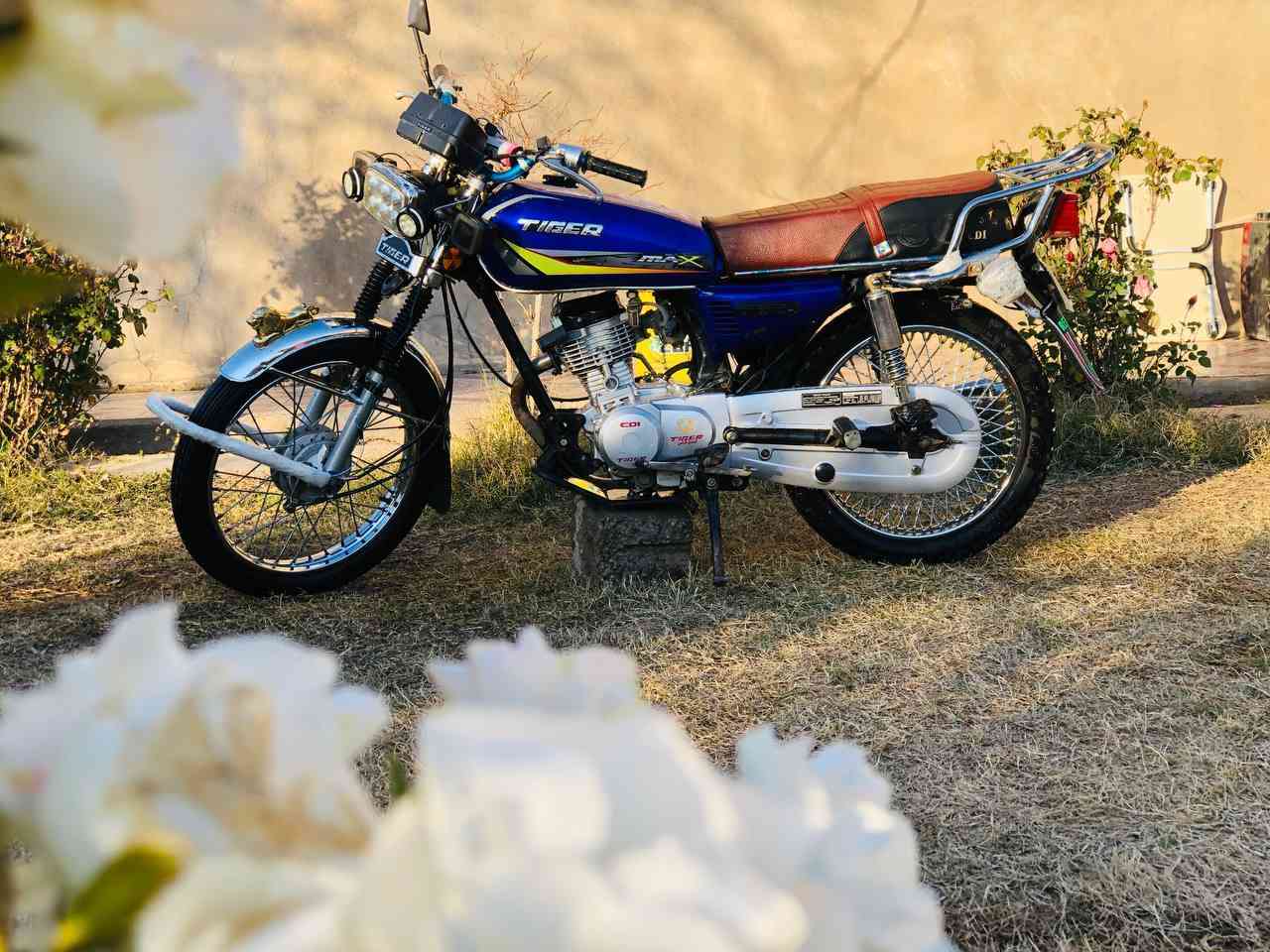 تايكر 21 محرك 24 جاهز مو ناقصو برغي *********** بي واتساب
والنظافة شوف العين 
السعر [ 400 ] وبي مجال حك الجية 
العنوان الشركاط الساحل الأيسر اسديرة وسطى 
#ملاحظة جماعة جيبو لفلان مكان ملتزم بمحل اعذروني
