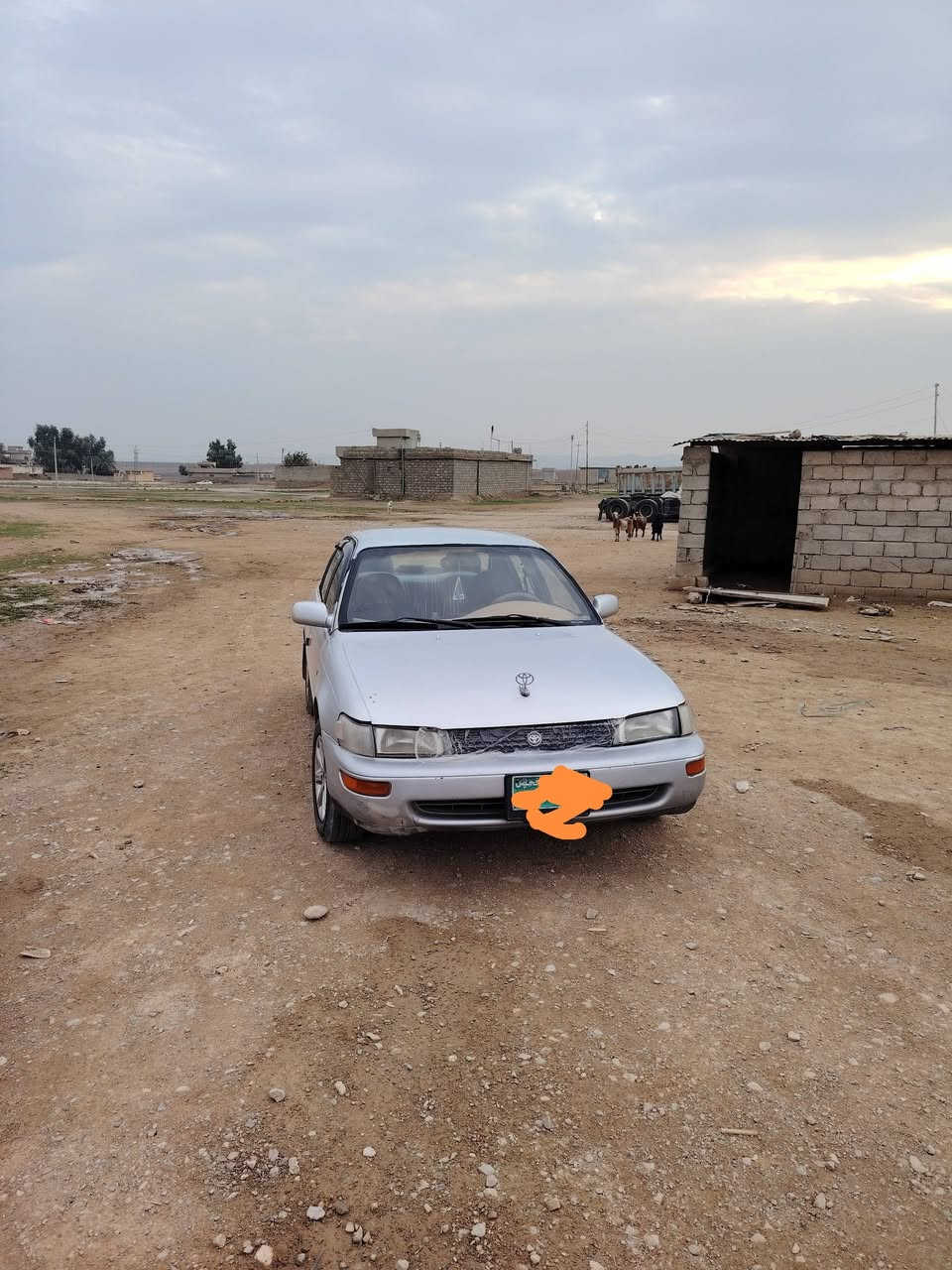 السلام وعليكم كورلا موديل 1994 السياره صبغ عام وبيها معجون كير ومحرك بشرط جدد رقم وسنويه جدد اني الشرعي تريد تحويل وكاله السياره طخم جديد وتواير جدد باتري جديد كلشي بيها شغال ماتصرف عليها الف سعر السياره 43 ورقه وبيها مجال بسيط أقره المنشور واتصل وتدلل ***********
