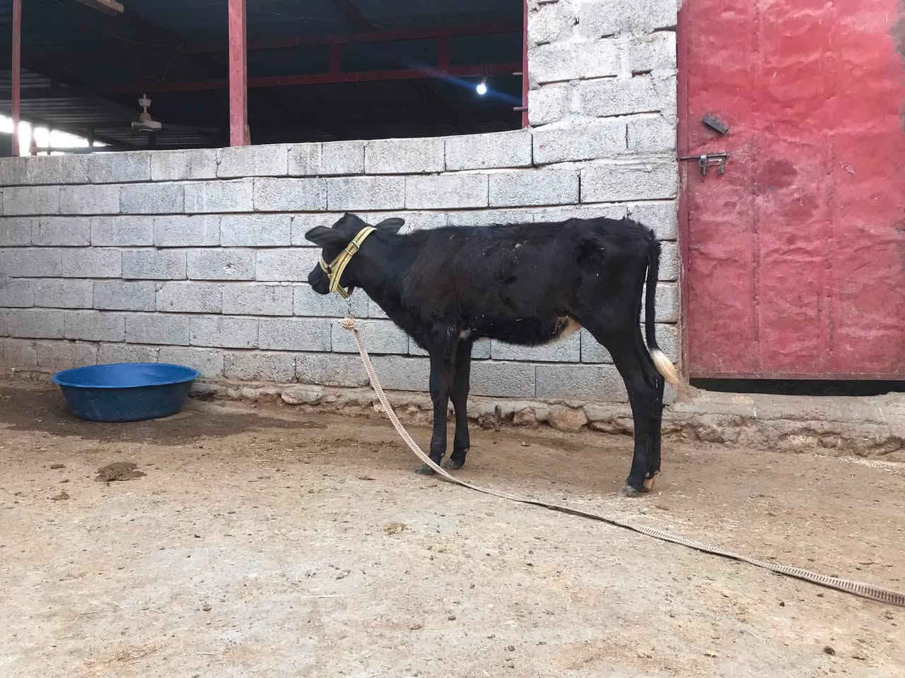 سلام عليكم 
متاح حوليه جنس نضيف مال بيت السعر 760 قفل 
***********
***********
***********
