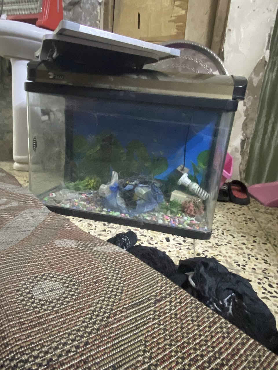 السلام عليكم حوض سمك للبيع وياه غراضه الزينه سعر ٥٠ الف


**إذا كنت صاحب هذا الإعلان وتريد حذفه لأي سبب، رجاءا أرسل رسالة إلى الدعم الفني**