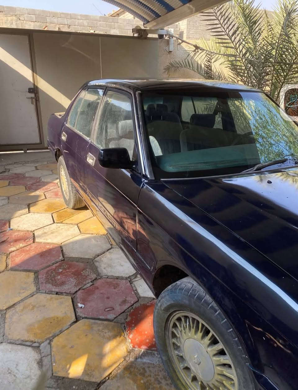 للبيع او مراوس سمند او سايبه  ارنب 1992 بيه كصه جنطه راعيه جاري تحويل ثاني يوم سعر 25 مراوس اراوس شعندك نزل  مكان بصره قضاء الدير ***********
