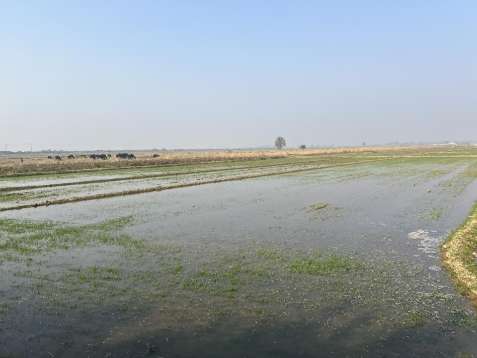 السلام عليكم  شاطيه شاطيه ارض زراعيه مساحه 40 دونم عقد 117 بسمي بيه بيت صب مسلح وبيه مشتمل مضخه ماء على  كافت خدمات واسط بنعمانيه سعر الدونم 18 قابل التفاوض ***********
