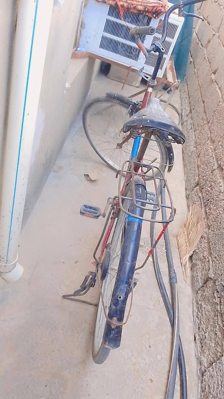 السلام عليكم عندي بايسكل حجم 26 للبيع رايده ب 40 وبي مجال مكان ديالى


**إذا كنت صاحب هذا الإعلان وتريد حذفه لأي سبب، رجاءا أرسل رسالة إلى الدعم الفني**