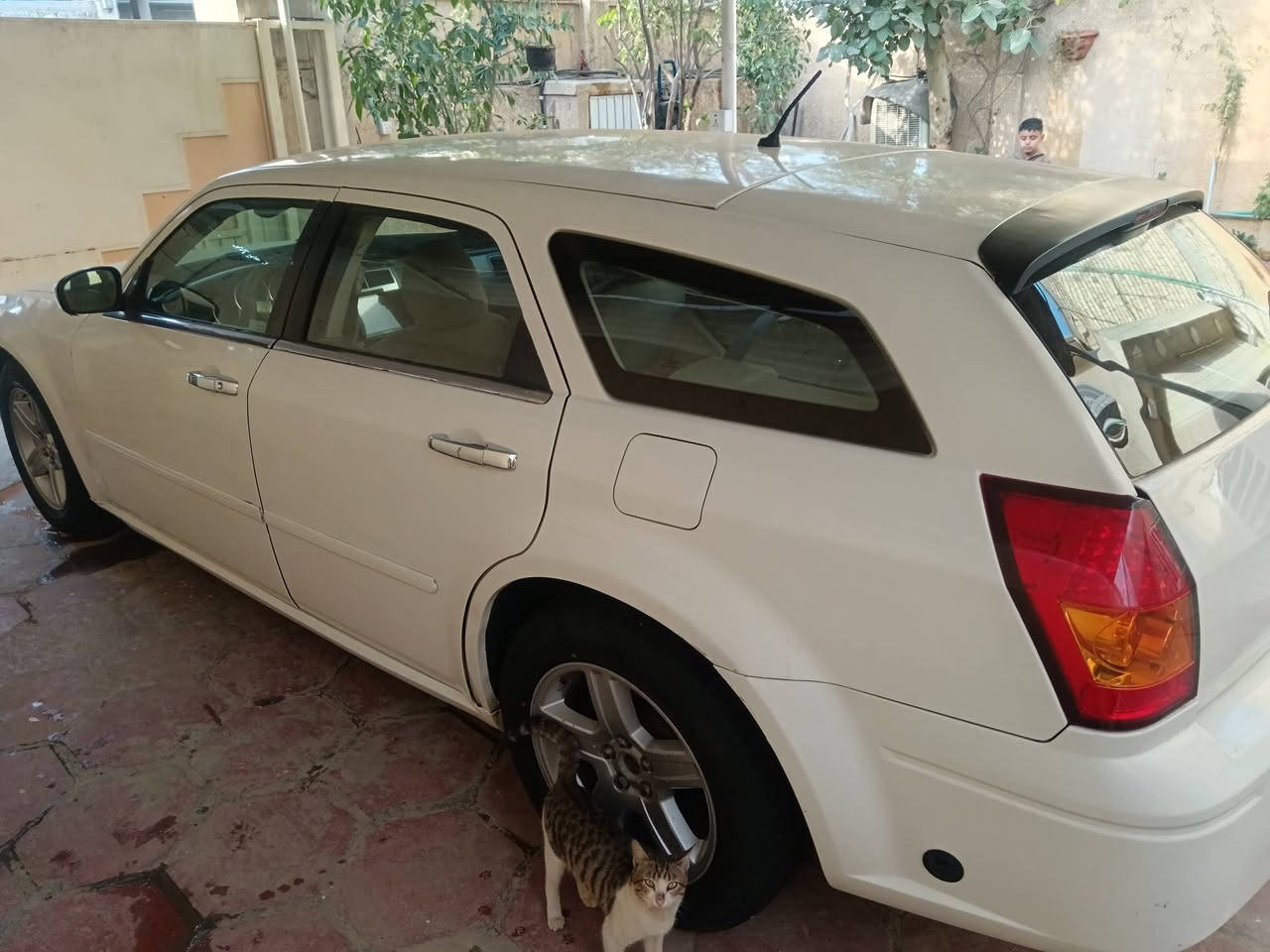 السلام عليكم
أوباما موديل 2008 ستيشن محرك 3500 حادثه جاملغ امامي صفحة السايق وبيه صبغ عام للجماليه لن كشر صبفه تخم تايرات جديد كهربئيات كله شغاله تبريد شغال صدر جديد امامي خلفي بيه منظومة غاز شغاله ادامه كامله بغداد بسمي مكاني بغداد البلديات السعر 93 وبيه مجال بسيط *********** احمد اخوان السيارة جاهزة من كل شي وبدون أي نقص
