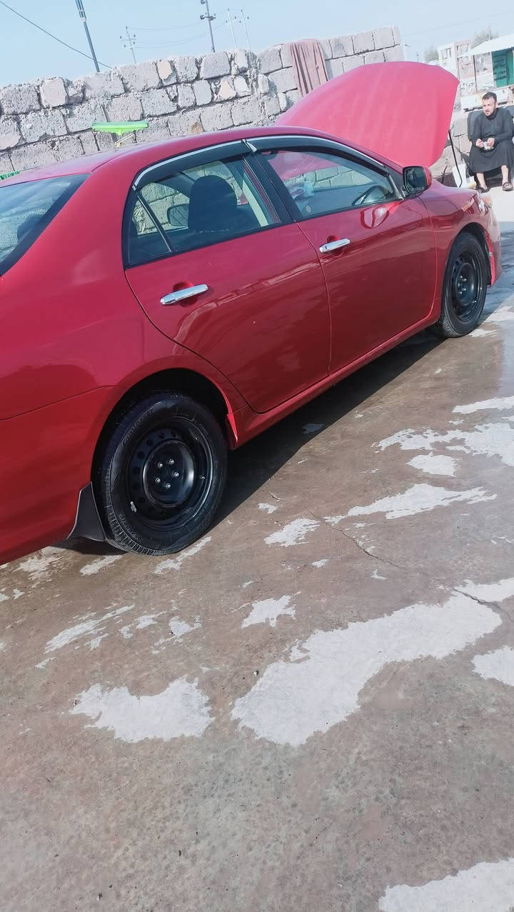 كفاله عامه للبيع
***********
