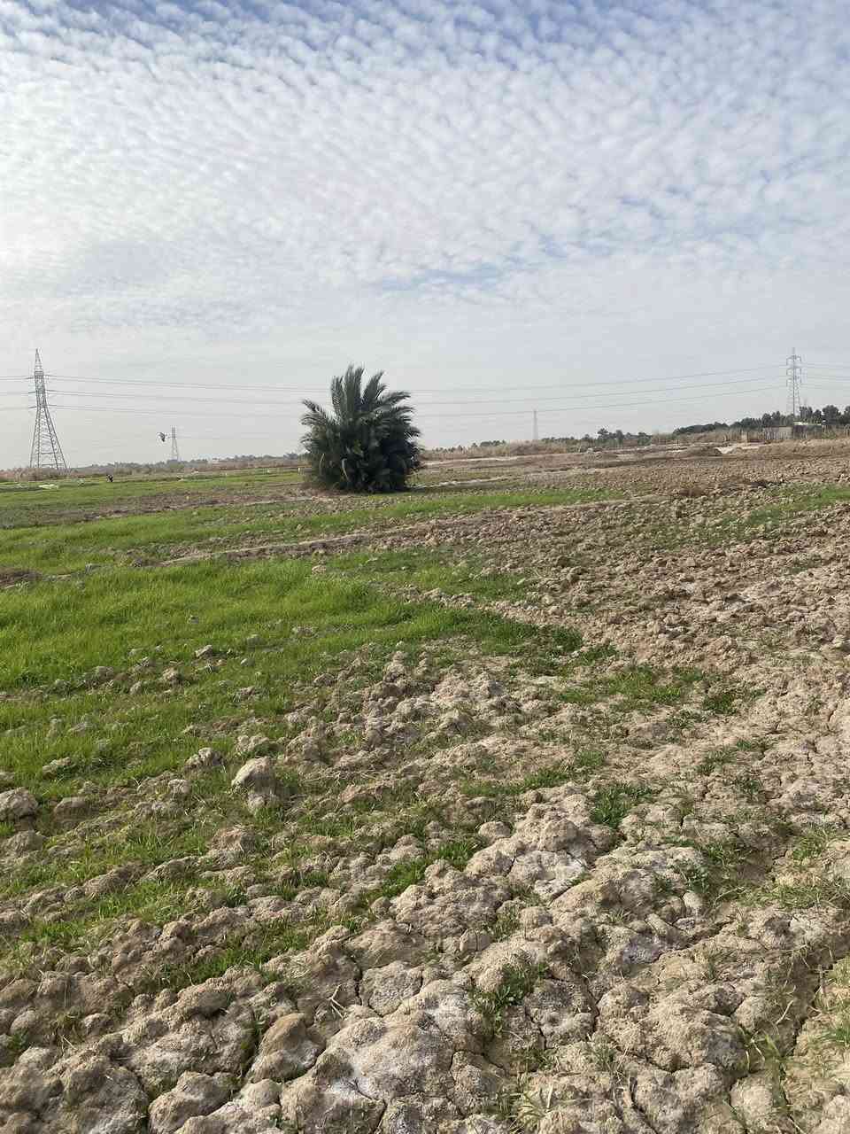 سلام عليكم كاع البيع ١٥ دونم عله ابو مهيفه مقابيل ملعب شيخ طارق مناع متوفر كافت الخدمات كهرباء مكلف بل نشر سعر دونم ٥وبيه مجال ***********
