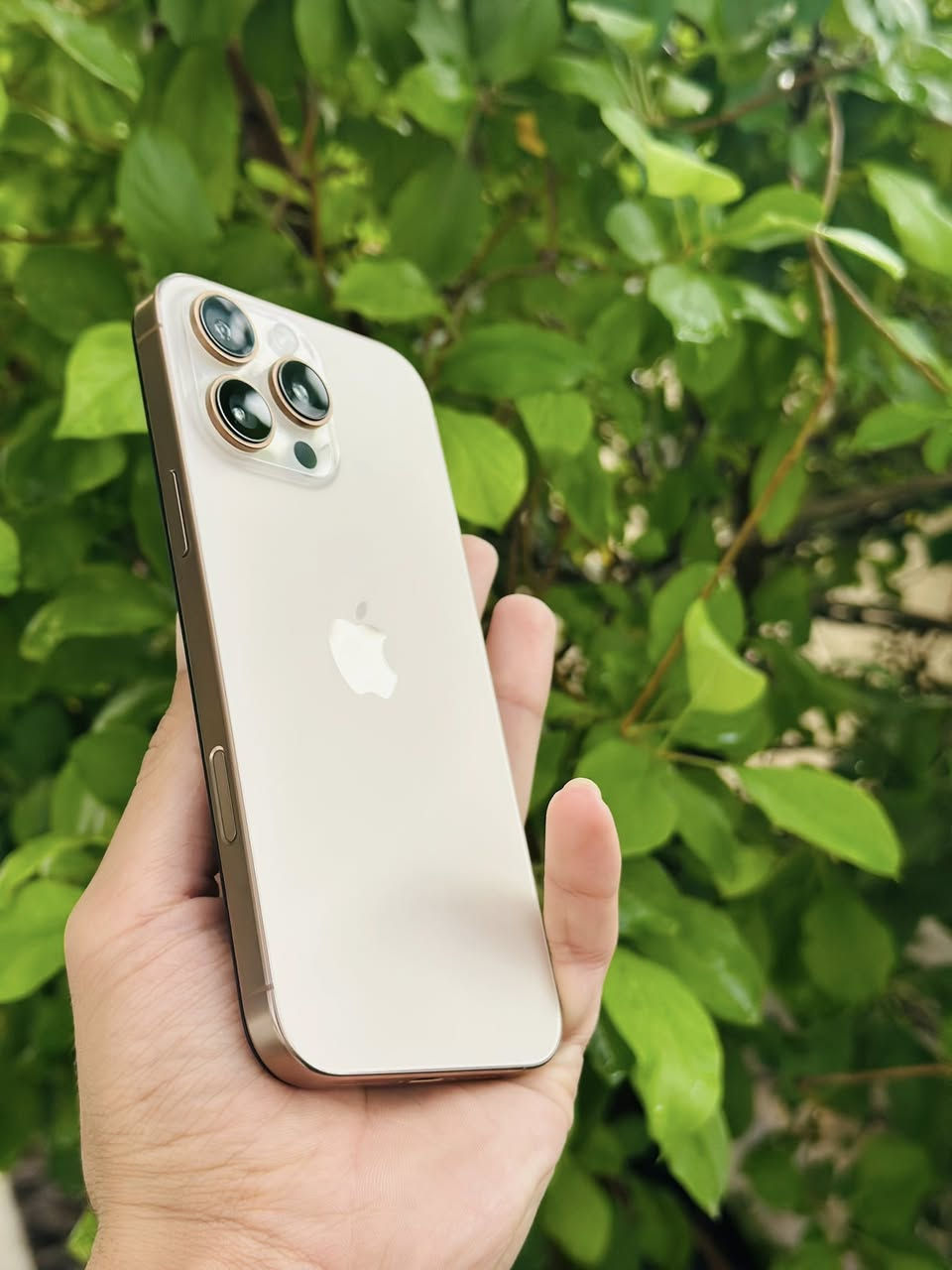 للبيع او مراوس ابيفون 15 او 24 الترا
16 برو ماكس شرق اوسط ذاكره 256 بطاريه 85 نزلت بسبب التحديث مشحون 370 جهاز نضيف فقط مبدل شاشه مكاني كربلاء شراي تفضل خاص


**إذا كنت صاحب هذا الإعلان وتريد حذفه لأي سبب، رجاءا أرسل رسالة إلى الدعم الفني**