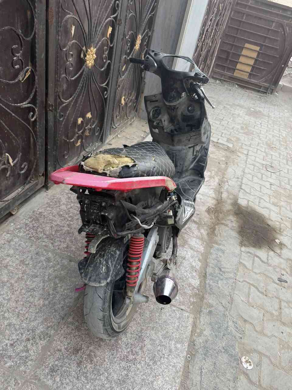 سكنس فحل للبيع مال لعب ب ٤٥٠ يرادلها ترتيب  مكينة جديدة 59 مكينتها  ***********
