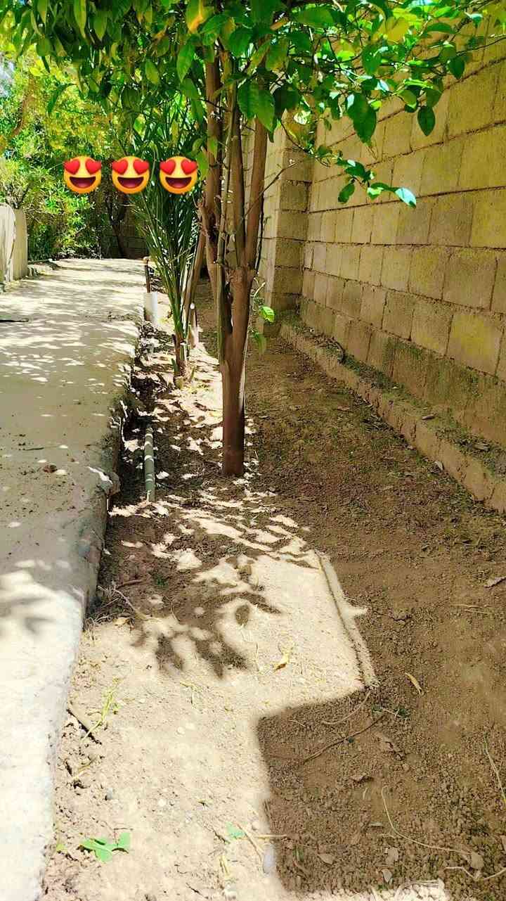 سلام عليكم شقل تنضيف حدايق وتقليم سجر بي مكان نجيك وهلا بل كرايب التصال عل رقم ***********ملاحضه شرط شغل يرضي الله ويرضي الفلاح
