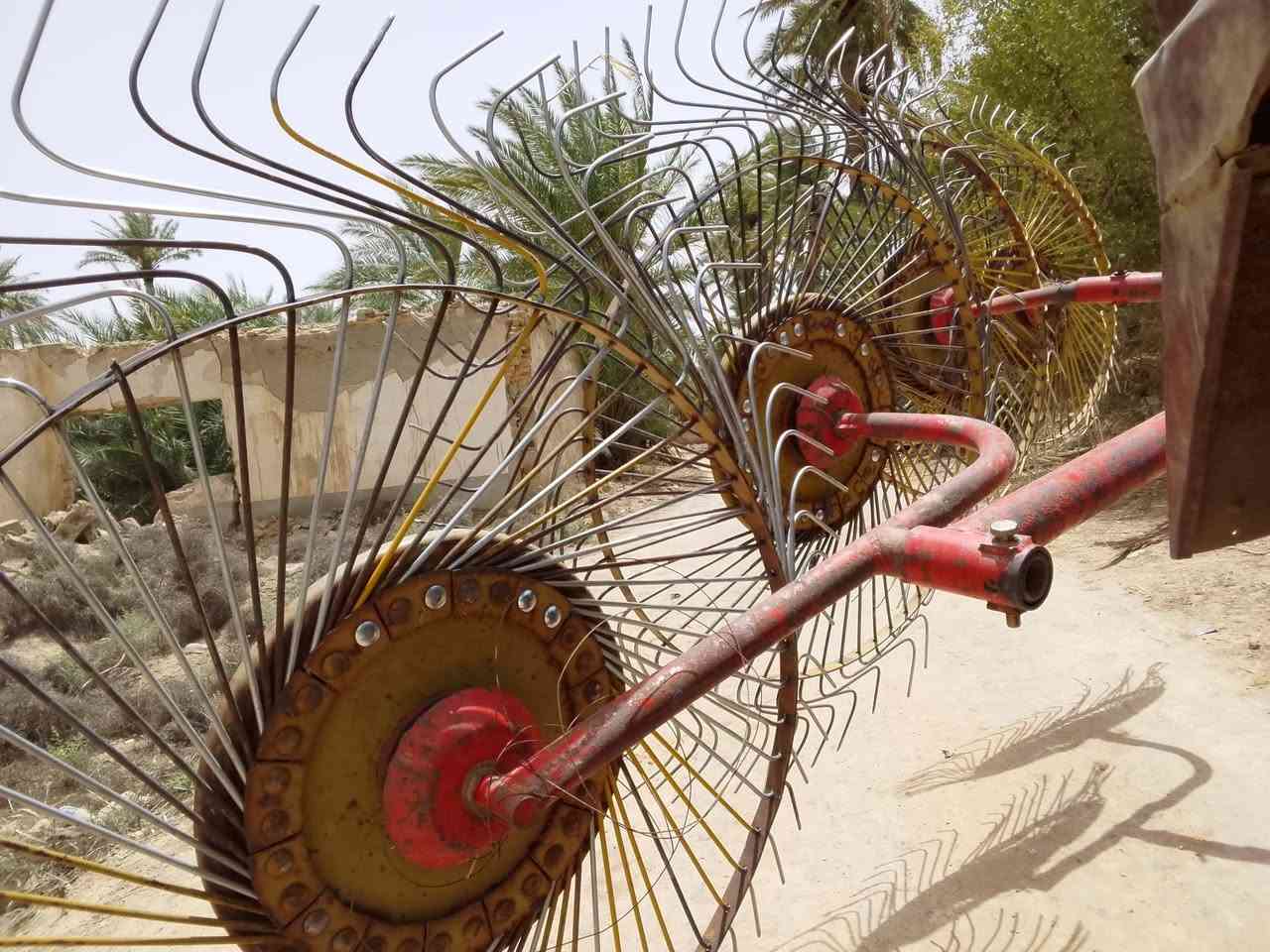 السلام عليكم
سويتر ابو ٦٠ للبيع المكان غماس للتواصل ***********
