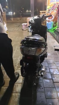 سكنس فحل • سلف • معدل