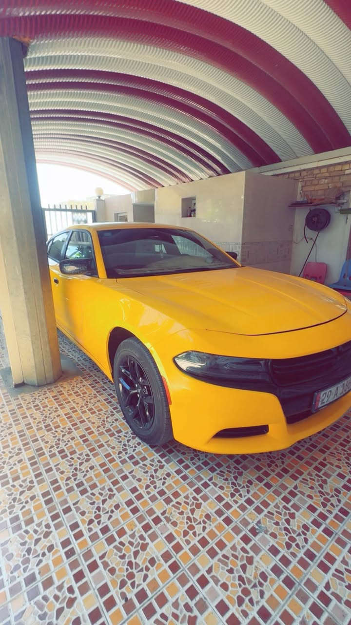 📣 للبيع: دوج جارجر اصفر (SXT) موديل 2018 📣
السلام عليكم شباب، متوفرة دوج جارجر نظيفة مال جناي، وبكامل مواصفاتها. السيارة جاهزة وما تحتاج أي مصاريف.

​🚗 التفاصيل والمواصفات:

​الموديل:2018

​الفئة:  (SXT) - مواصفاتها فول عدا الفتحة .

​الرقم: رقم واسط الجديد).

​🛠️ حالة السيارة والضمان:

​المحرك والناقل: كير ومكينة مكفولات وبشرط الفحص.

​الضرر (الحادث): جاملغين اماميات وموجود صور الحادث ، وباقي السيارة سليمة ومكفولة.

​الحالة العامة: سيارة جديدة ونضيفه مال جناي وجاهزة للاستخدام فوراً والسيارة بالحقيقة احلا من الصور والله وبالعافية على آليي ياخذها .

​💵 السعر والاتصال:

​السعر: 180 ورقة وبيها مجال

***********
