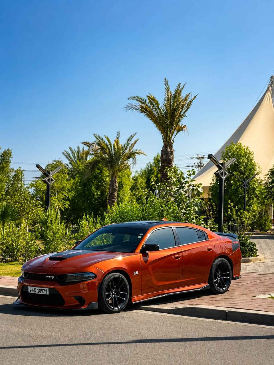 ‎جارجر سكات باك 
CHARGER (SCAT PACK)
‎الموديل :2023  . (وارد امريكي حادث جاملغ + بنيد ايرباك طاك وراجع سستم) . 
‎العداد :28 الف ميل . 
‎المحرك : V8 .  6.4L .  

‎المواصفات :
‎* جناح خلفي اسود. 
‎* ويل قياس 20 انچ اسود . 
‎* مقود القيادة رياضي كاربون فايبر . 
‎* مقاعد رياضية جلد وشامواه .
‎* مصابيح أمامية زنون . 
‎* كشافات الضباب زنون . 
‎* المصابيح الأمامية مع LED . 
‎* حساسات خلفية. 
‎* شاشه كبيرة مع نظام ملاحة نفكيشن GPS . 
‎* سستم صوت الپاين .
‎* المقاعد الأمامية كهربائية. 
‎* مقاعد أمامية تبريد+تدفئة . 
‎* مقاعد خلفية تدفئة . 
‎* تشغيل عن بعد . 
‎* تدفئة مقود القيادة . 
‎* محدد سرعة . 
‎* تلفون بلوتوث . 
‎* كاميرا خلفية .
‎* مرايا متحسسة للاضاءة العالية .
‎* كير شفتر بالستيرن . 
‎* دخول ذكي (بصمة) .
                                السعر290 ورقه وبيه مجال 
                                مكان المنصور او البدور بغداد, العراق


**إذا كنت صاحب هذا الإعلان وتريد حذفه لأي سبب، رجاءا أرسل رسالة إلى الدعم الفني**