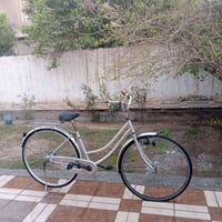 باسيكل • باباني