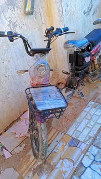 دراجة كهربائية • ديالى • ٣٥٠