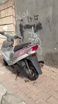 ماكس ٤٩ • سلف • بصره امن داخلي