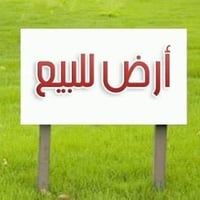 ٢٥ دونم • ٥٠٠ نخلة • طريق حله نجف