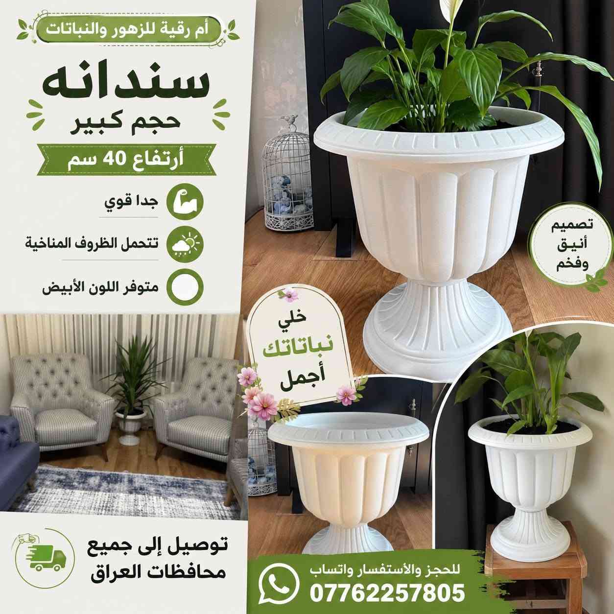 🐼🌿 أم رقية للزهور والنباتات 🌿🐼
✨ خلي نباتاتك تحكي جمالها بلمسة كيوت ✨
متوفر باندا إكسسوارات النباتات 🐼🪴
يضيف شكل مميز وحلو لعصا موسى والنباتات الداخلية 🌱
💚 أشكال جميلة تناسب كل محبي الزرع
🎁 فكرة رائعة للديكور والهدايا
⭐ كمية محدودة لا تفوتكم
🚕 توصيل لجميع محافظات العراق
📲 للحجز والاستفسار واتساب: ***********
#ام_رقية_للزهور_والنباتات
#نباتات #ديكور_البيت #اكسسوارات_نباتات #العراق
