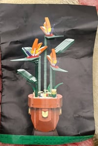 زهور • مجموعة منوعة • توصيل