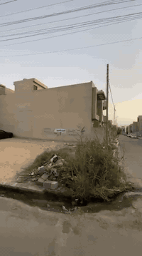 ارض ركن  للبيع
 في حي الحدباء ج
المساحة 238.66 م مربع 
للاستفسار الاتصال على 
***********
***********
