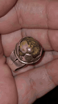 خرزه داودي قديم فوال 
***********
