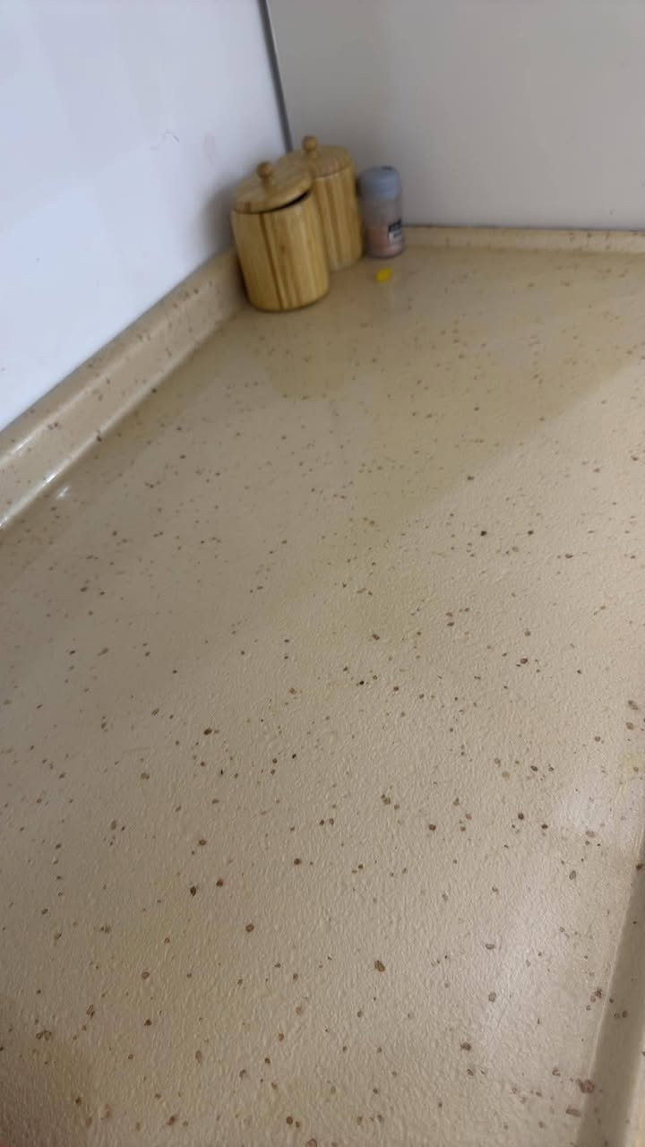 سڵاوی خودای گەورەتان لێبێ بەڕێزان 
ئەم کەوانتەرە بۆ فرۆشتن خاوێنە،باڵانپرێسە
7مەترو  90سم 
سلێمانی - کانی با
600ومعامەلە
ئێوەی بەڕێزیش چیتان هەیه بۆ فرۆشتن لەخزمەتاناین
لەهەرشارێک بێت


**إذا كنت صاحب هذا الإعلان وتريد حذفه لأي سبب، رجاءا أرسل رسالة إلى الدعم الفني**