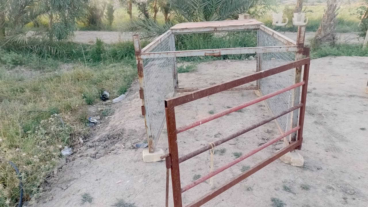 محجرات للبيع السعر بل صوره  كاملات جيب وشد مكاني بابل رقم الجهاز  ***********

