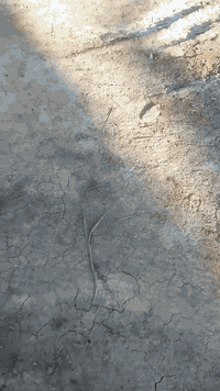 سلام وعليكم يعلن مكتب ام القرى عرض 5000متر العنوان منطقة إلا نتصار مقا...