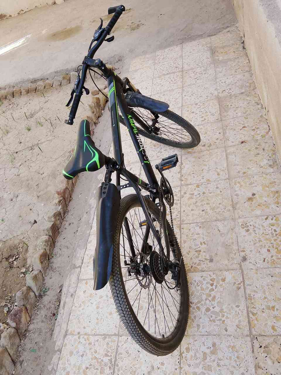باسكل رياضي للبيع السعر خاص


**إذا كنت صاحب هذا الإعلان وتريد حذفه لأي سبب، رجاءا أرسل رسالة إلى الدعم الفني**