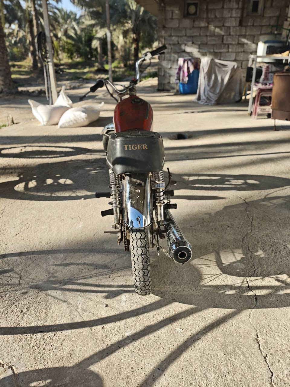 يالله سلام عليكم ورحمه الله وبركاته دراجه البيع دراجه حلوه قبل 3 ايام بدلت بوشه  بستم وكور ولفات 01. محركه  ا رشه  وشاصي شلامجه  ليوم فيلست شرط دك 120 دراجه حلوه وخير من الله البيع 300 وبيه مجال  جماعت 200 الله يطيك  ابو 250 تعال ه‍ل بيك275.  بيت  بيتك   تعال دراجه حلوه ها اجماعت 200 الله يطيك  اني دعيلك  بصلاتي  والخاص مغلق رقمي ***********
