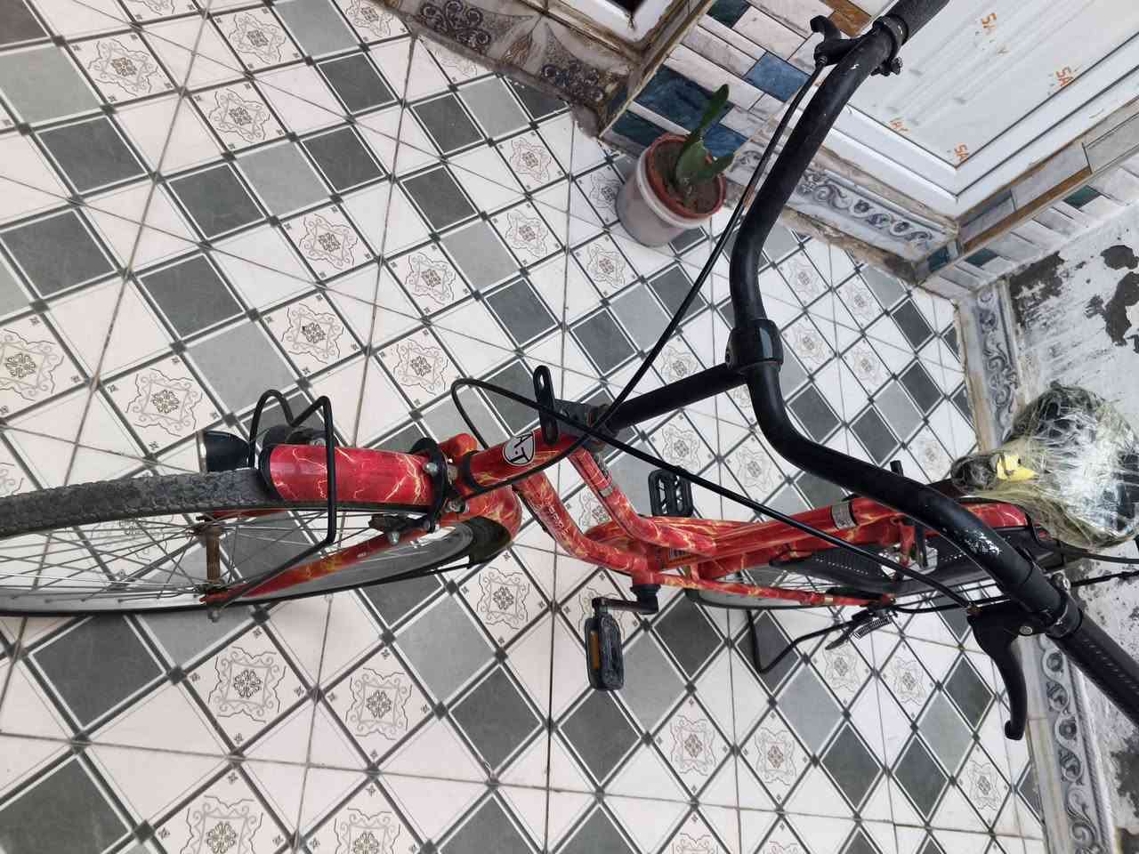 سعر 100وبي مجال مكاني حي سومر مستعجل كلش ع بيعه رقمي789 290 6671


**إذا كنت صاحب هذا الإعلان وتريد حذفه لأي سبب، رجاءا أرسل رسالة إلى الدعم الفني**