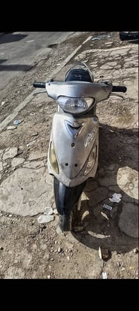 ماكس منغولي • نضيفه • معدل