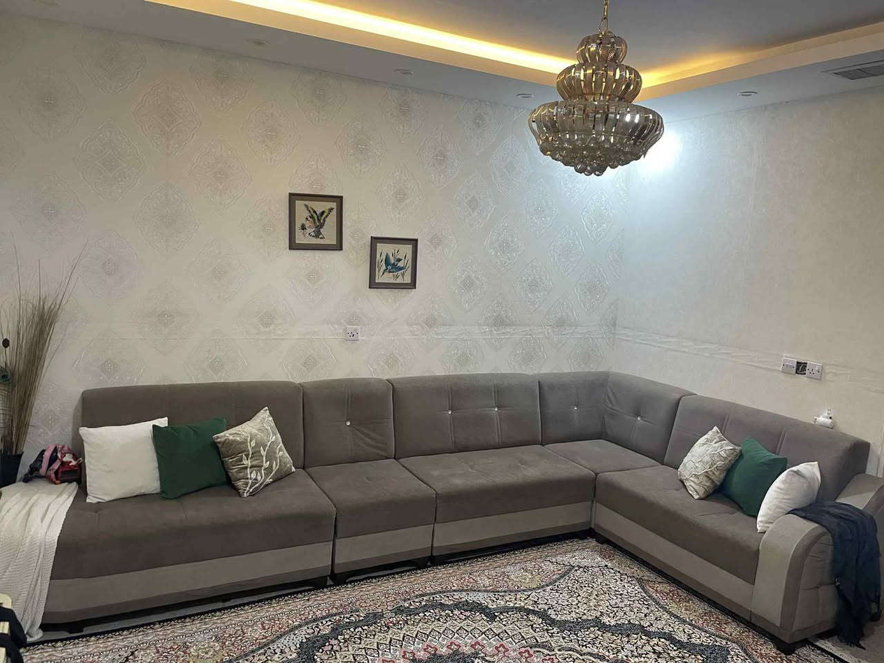 هةولير ملا ئومةر ١٠نفر دةسكرد بى عةيب 180هةزار


**إذا كنت صاحب هذا الإعلان وتريد حذفه لأي سبب، رجاءا أرسل رسالة إلى الدعم الفني**