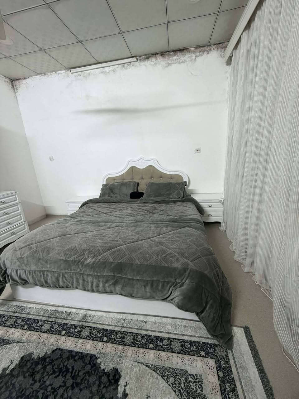 تاخم نومی جوان
6بارجەیە
دوشەکی لەکەل نیە
هەولێر؟؟


**إذا كنت صاحب هذا الإعلان وتريد حذفه لأي سبب، رجاءا أرسل رسالة إلى الدعم الفني**