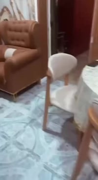 تخم مودرن تركي • ١٠مقاعد • توصيل مجاني