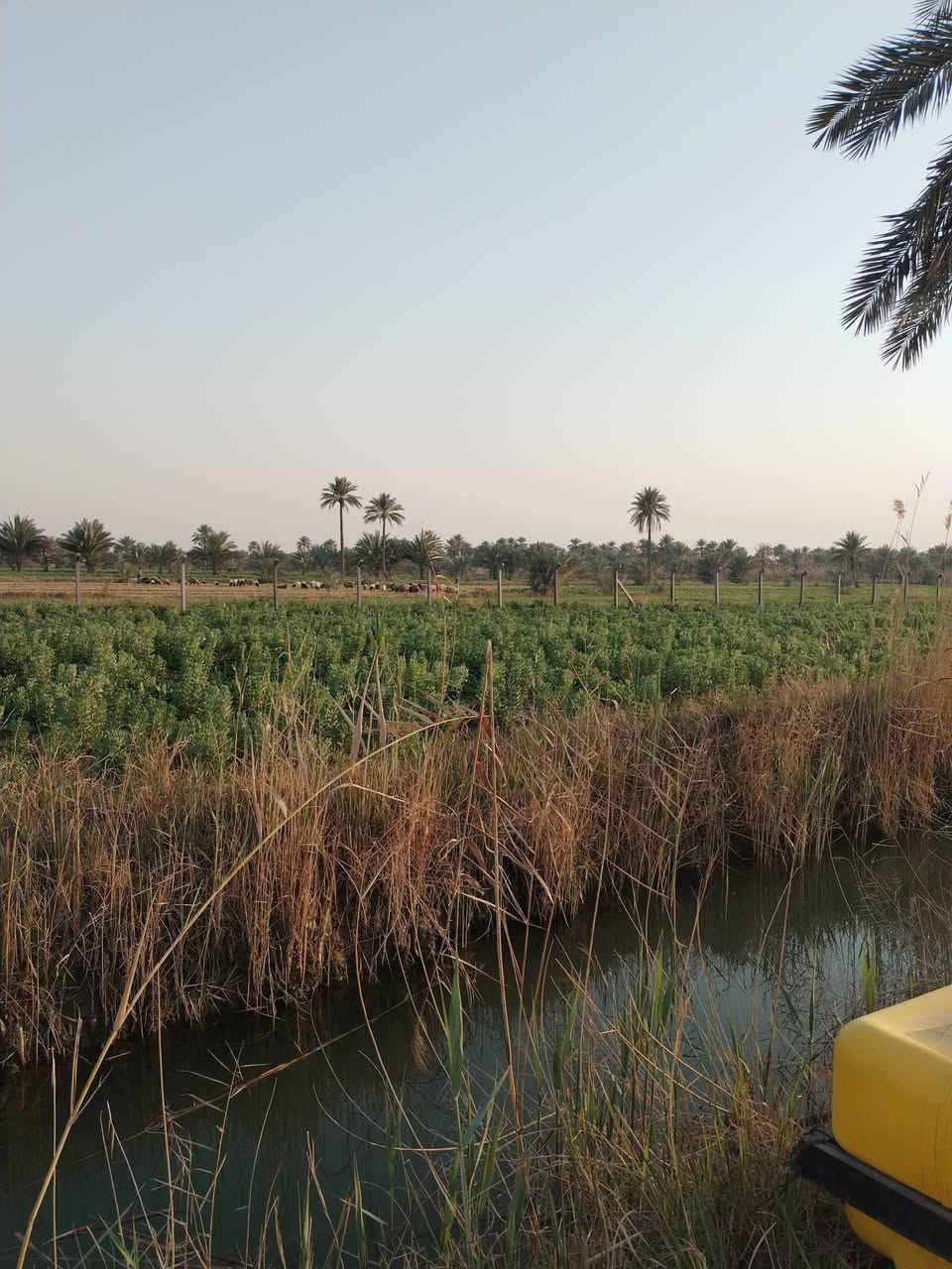 ارض زراعيه مساحه ٢دونم و٦٥٠متر كاع روعه تسقي سيحا موقع ممتاز كافه الخدمات طويريج حي العسكري تبعد عن الحولي ٦٠٠متر السعر ٢٣٥ مليون تفاصيل على الخاص مكتب حيدر للعقار ***********
