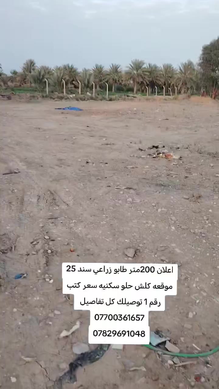 #اعلان 200متر البيع على طريق المطار قبل سيد احمد 
#تبعد عن طريق المطار 250متر 
#متوفره كافت الخدمات ماء سقي ماء ساله كهرباء شارع 10متر 
ارض خصبه صالحه الزراعه 

#اي استفسار احنه ب الخدمه ..
#مكتب (العقارات  ايسر الجحيشي في صويره) يقدم افضل العروض والتعامل المحترم والصادق مع الزبائن الكرام.
#الي عنده قطعه للبيع او دوانم نشتري حسب البورصه وافضل سعر للقطعه .
متوفره كافت دوانم والمزارع ودور سكنيه 
للمعلومات والستفسار اتصل على الارقام التاليه
***********///*********** /وتساب فايبر 📲☎️📞
