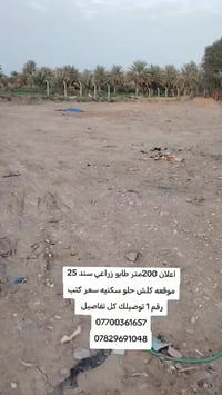 الصويرة واسط • 200متر • ارض زراعيه